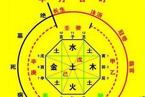 看命格|生辰八字算命、五行喜用神查詢（免費測算）